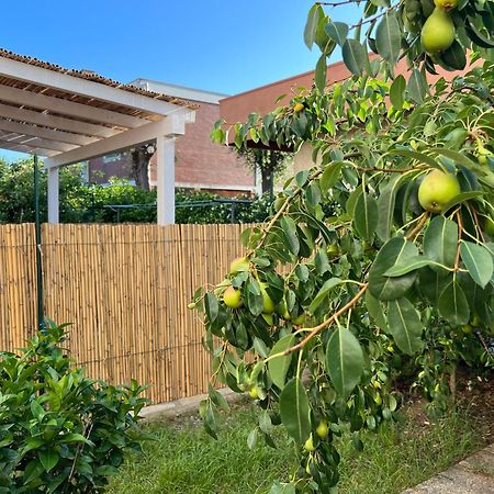 Appartamento Civiconove Piombino Esterno foto