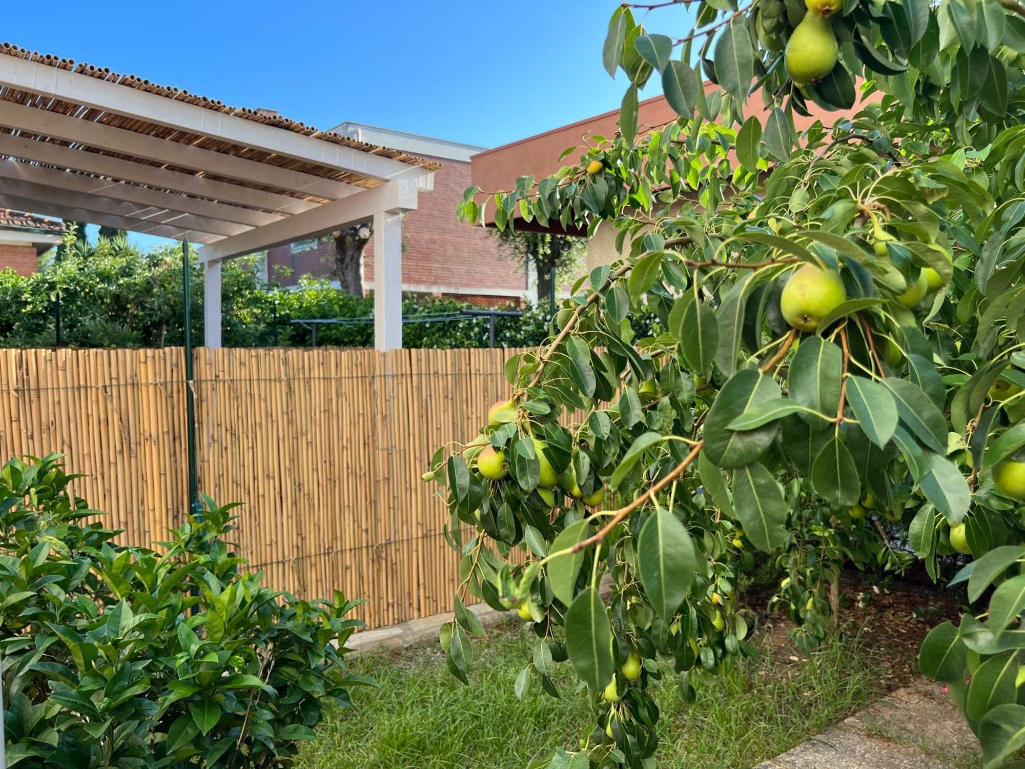 Appartamento Civiconove Piombino Esterno foto