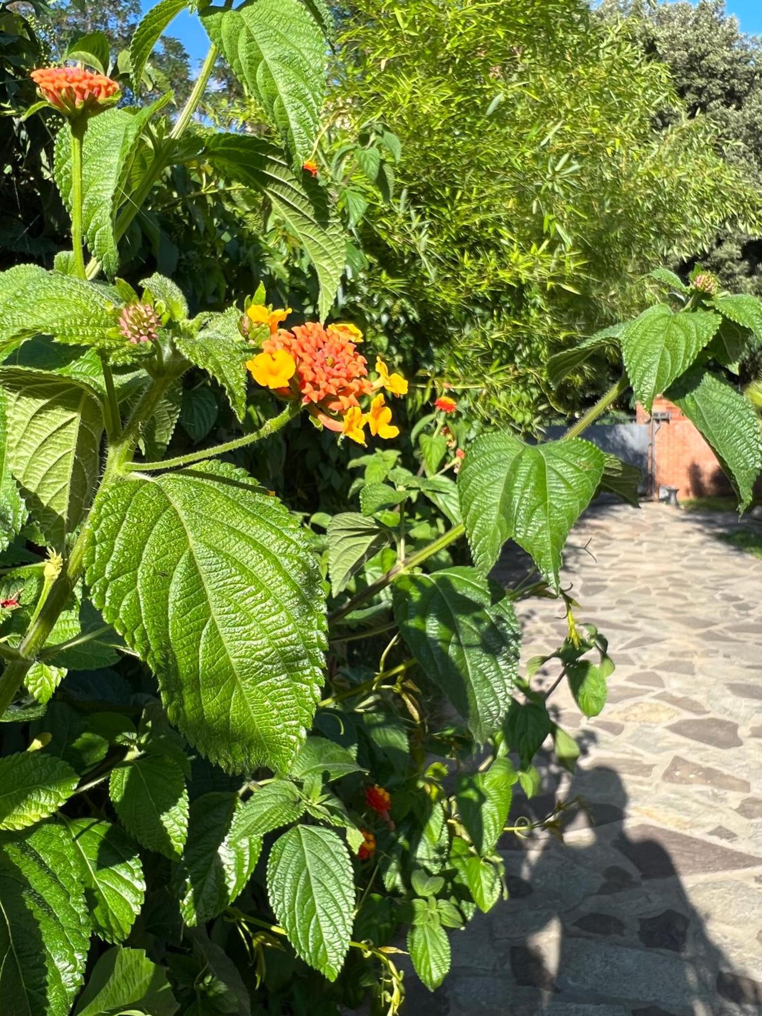 Appartamento Civiconove Piombino Esterno foto